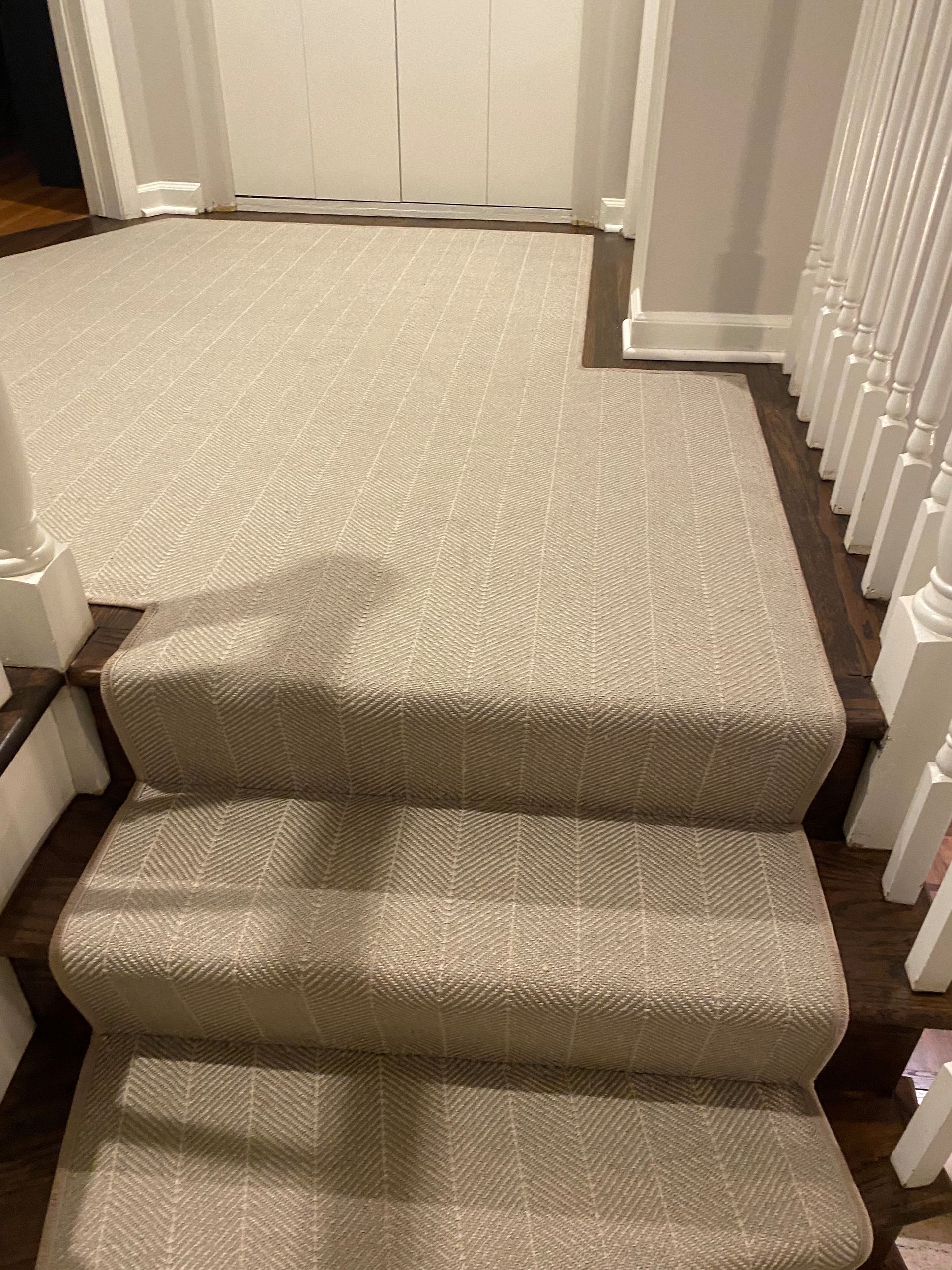 Carpeted stairs leading up to a doorway with a matching carpeted hallway; beige carpet on dark wood steps.