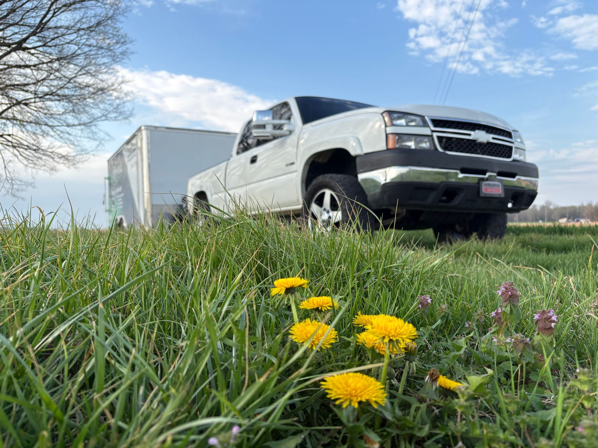 White pickup truck with trailer in a grassy field under a blue sky, with yellow wildflowers in the foreground