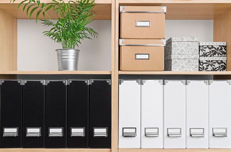 Shelves with black and white file boxes, storage bins, and a potted plant