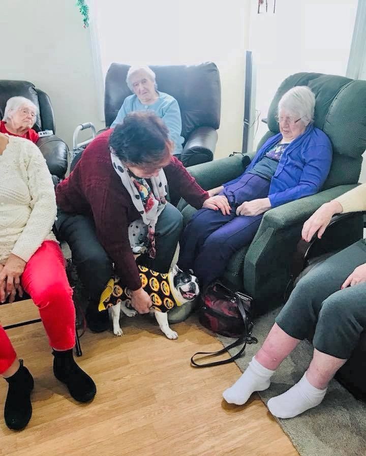 People seated in a cozy living room, one person crouched to put on another’s shoes.