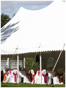 Elegant Bridal Tent