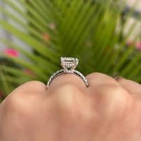 A person's hand wearing a diamond ring with a detailed band, in front of greenery.