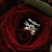 Close-up of two diamond wedding rings nestled inside a red rose.