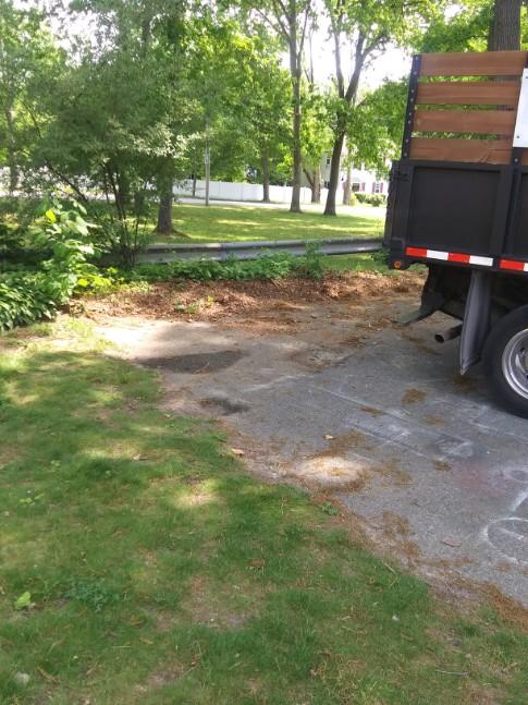 completed cleanout service