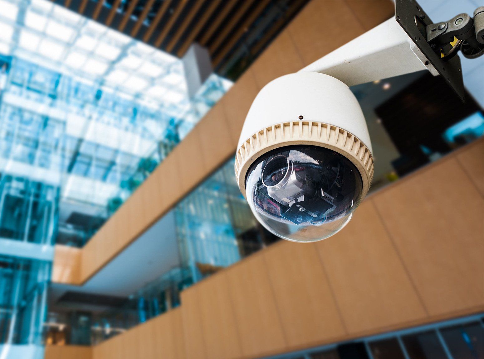 Commercial IP Cameras