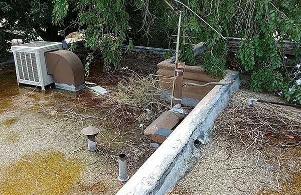 Rooftop with an air conditioner, ventilation ducts, pipes, and debris, partially obscured by overhanging branches.