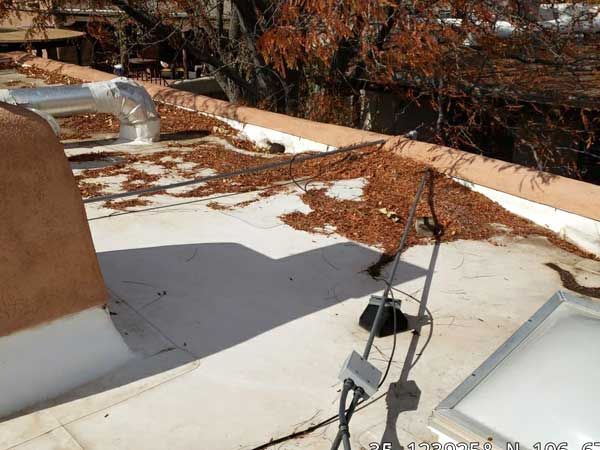Flat white roof with leaves, vents, satellite dish, and skylight. Beige wall on the left, brown trees in the background.
