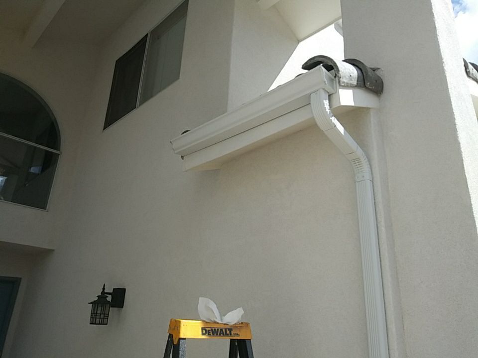 White house exterior with gutter and downspout. A-frame ladder with tissues on top.