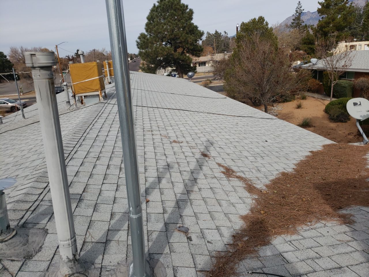 Gray shingle roof with dried leaves, antenna, vents, and a cityscape in the background.