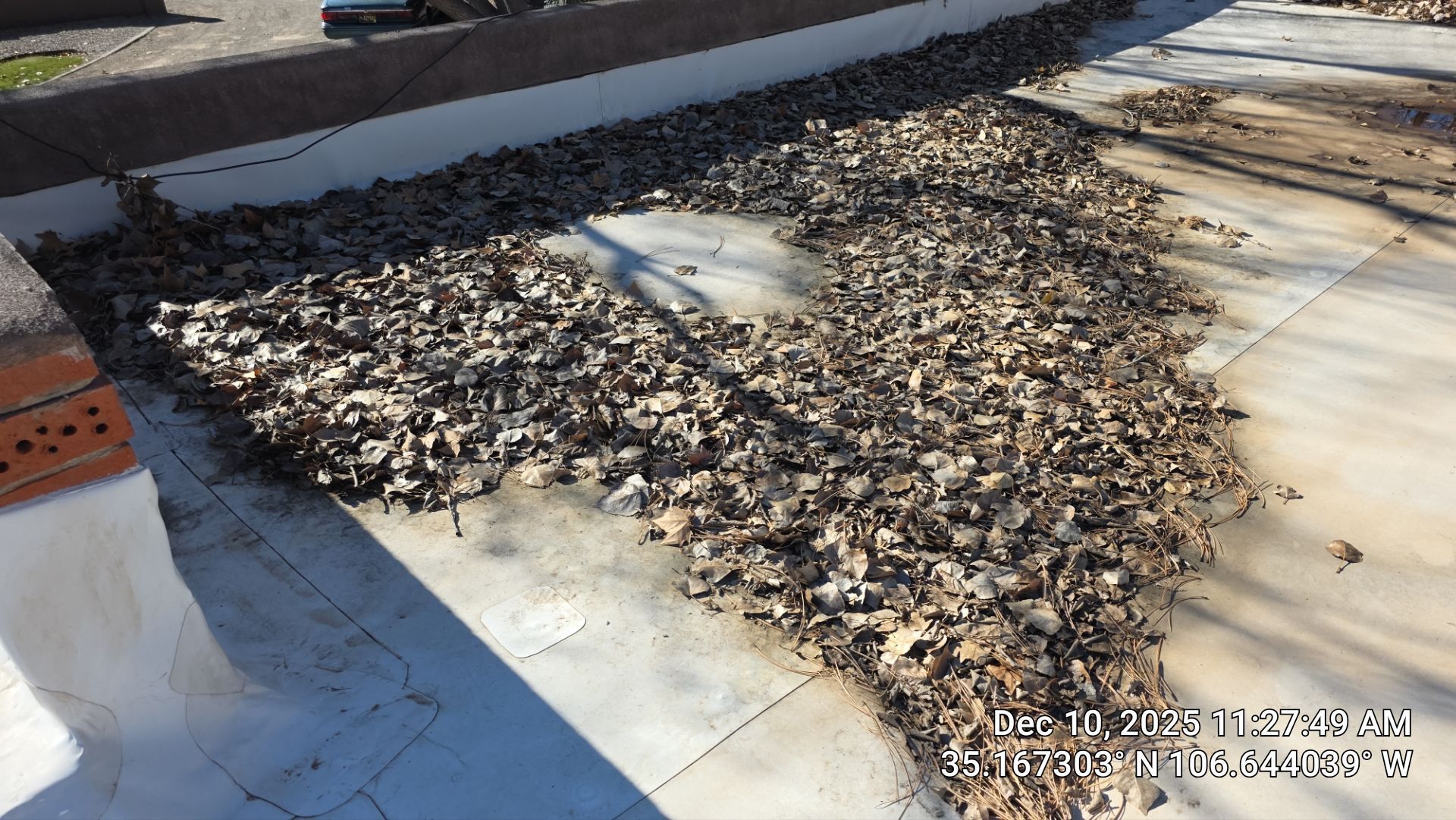 Roof covered in dry leaves, with a brick chimney in the corner and a low wall in the background.