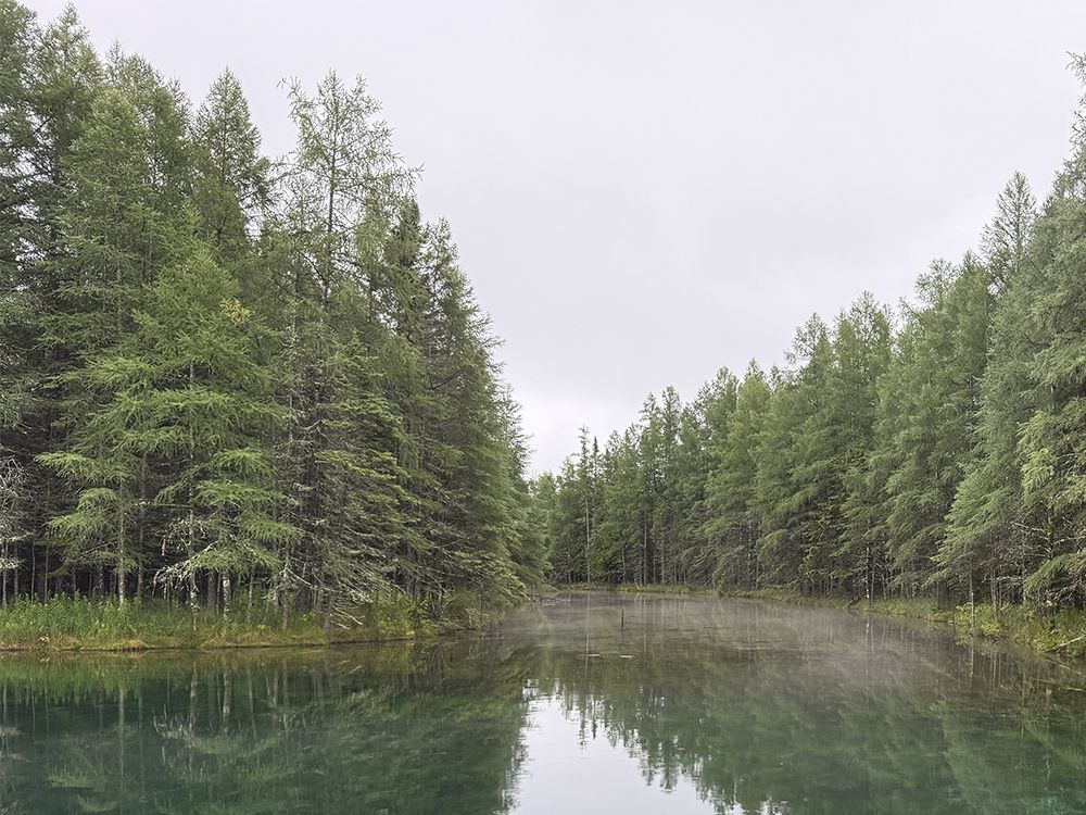 Calm, blue-green water reflecting trees in a dense forest, under a cloudy sky.
