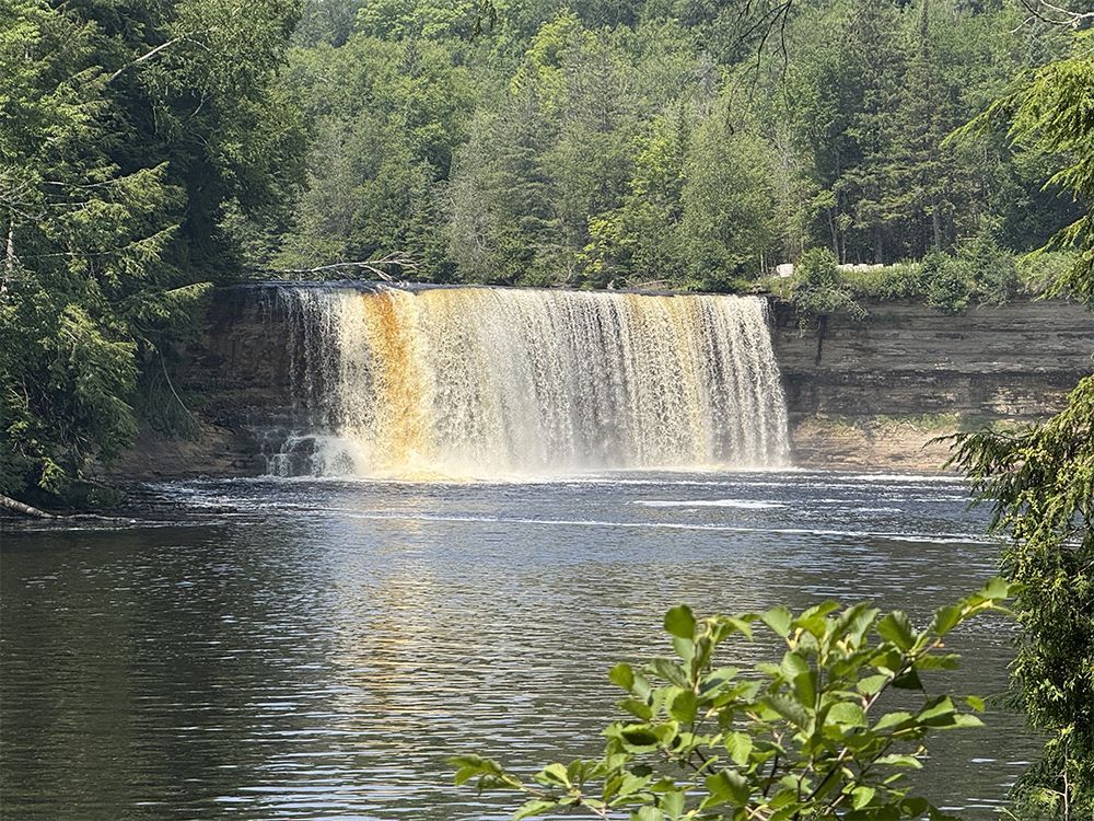 Waterfall cascading into a calm river, surrounded by lush green trees. Brown and white rock face.