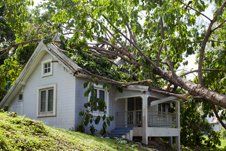 Learn More About Storm Damage Storm damage