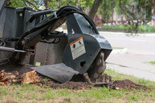 Learn More About Stump Removal Stump removal