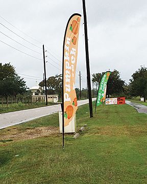 A row of flags sitting on the side of a road.