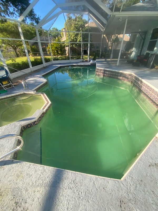 pool with green water before