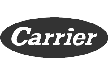 Carrier