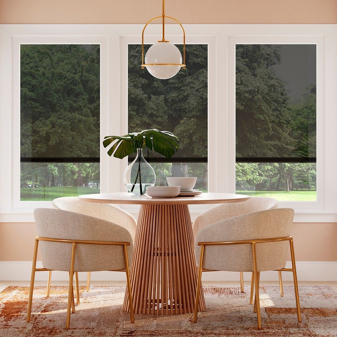 Dining room with table, chairs, and window. Decorative light, foliage, and rug.