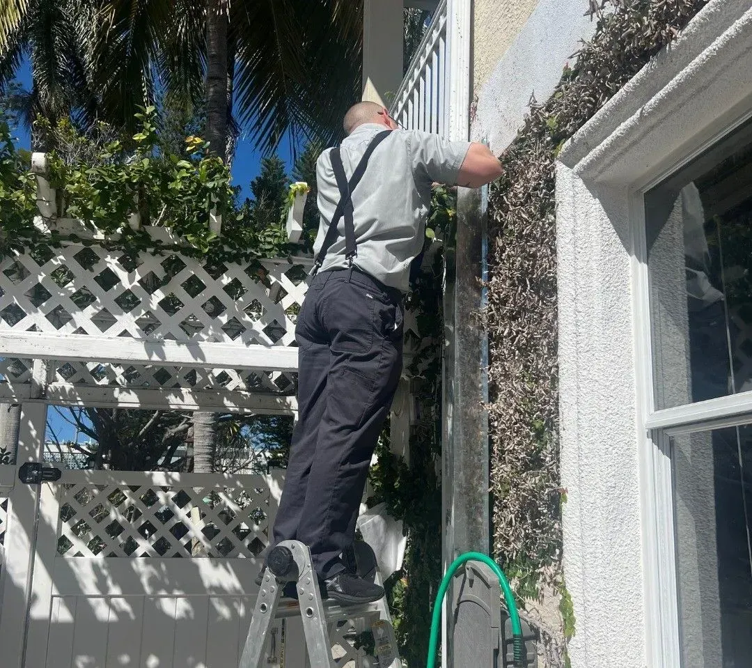 Man on a ladder trimming vines along a white stucco wall beside a patio lattice