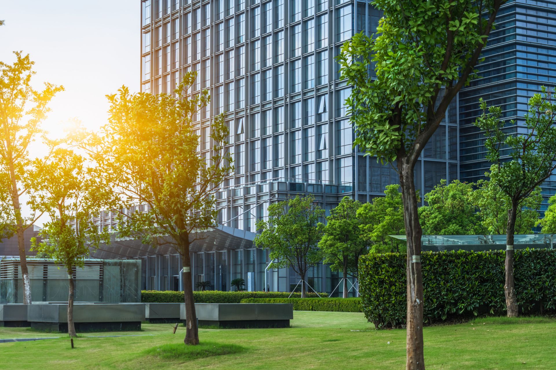 Green trees and lawn in front of a modern office building with sunlight streaming through.