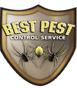 Best Pest Control Service LLC - Logo