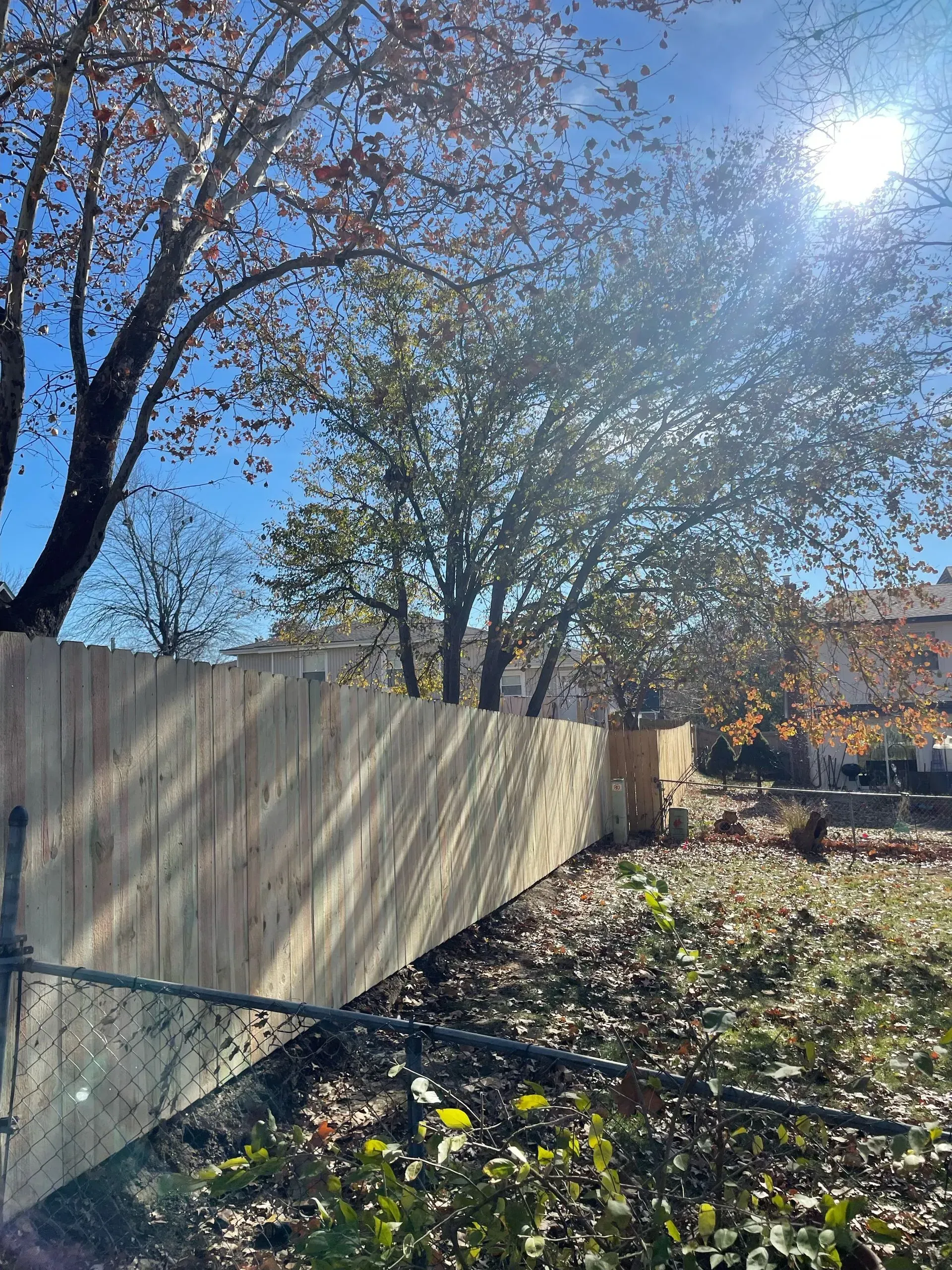 Wooden fence in a sunny backyard, trees in the background, autumn leaves on the ground.