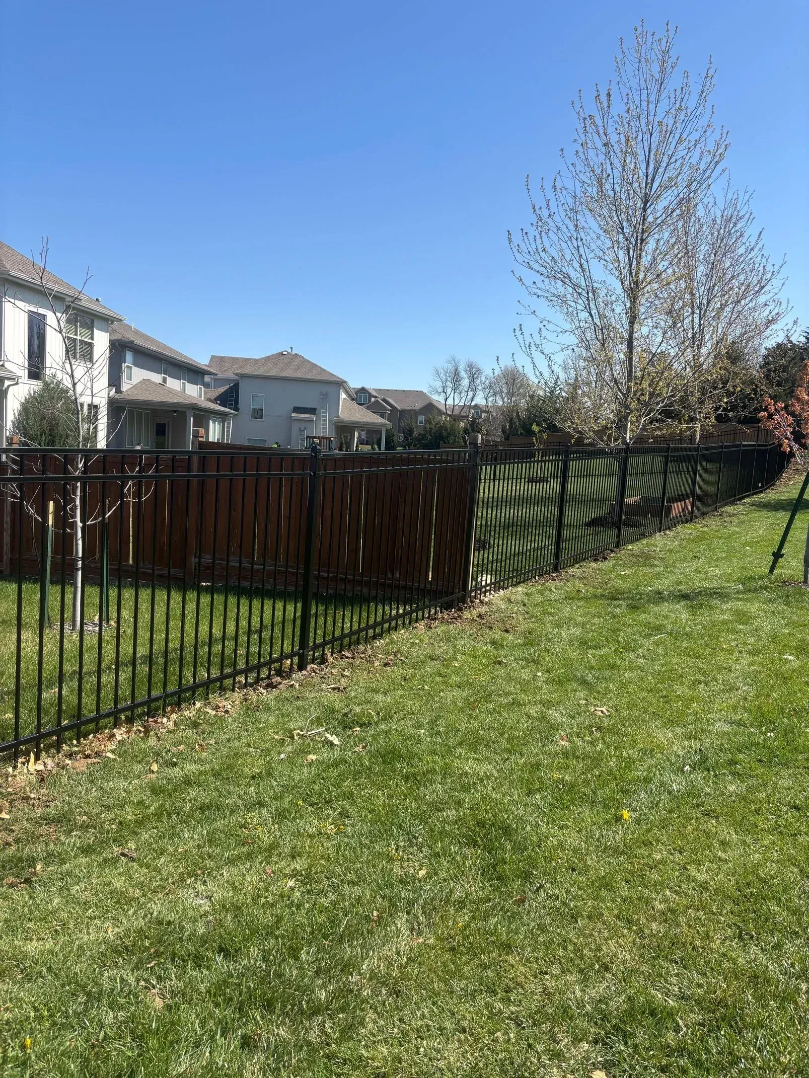 A fenced backyard with green grass under a clear blue sky, houses in the background.