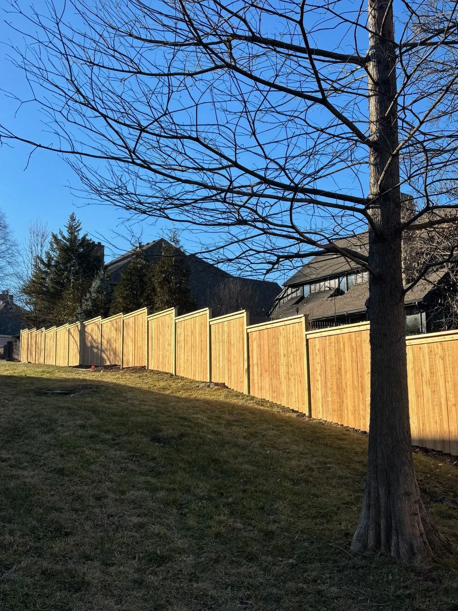 Wooden fence along a grassy hill with bare tree in the foreground. Buildings visible in the background against a blue sky.