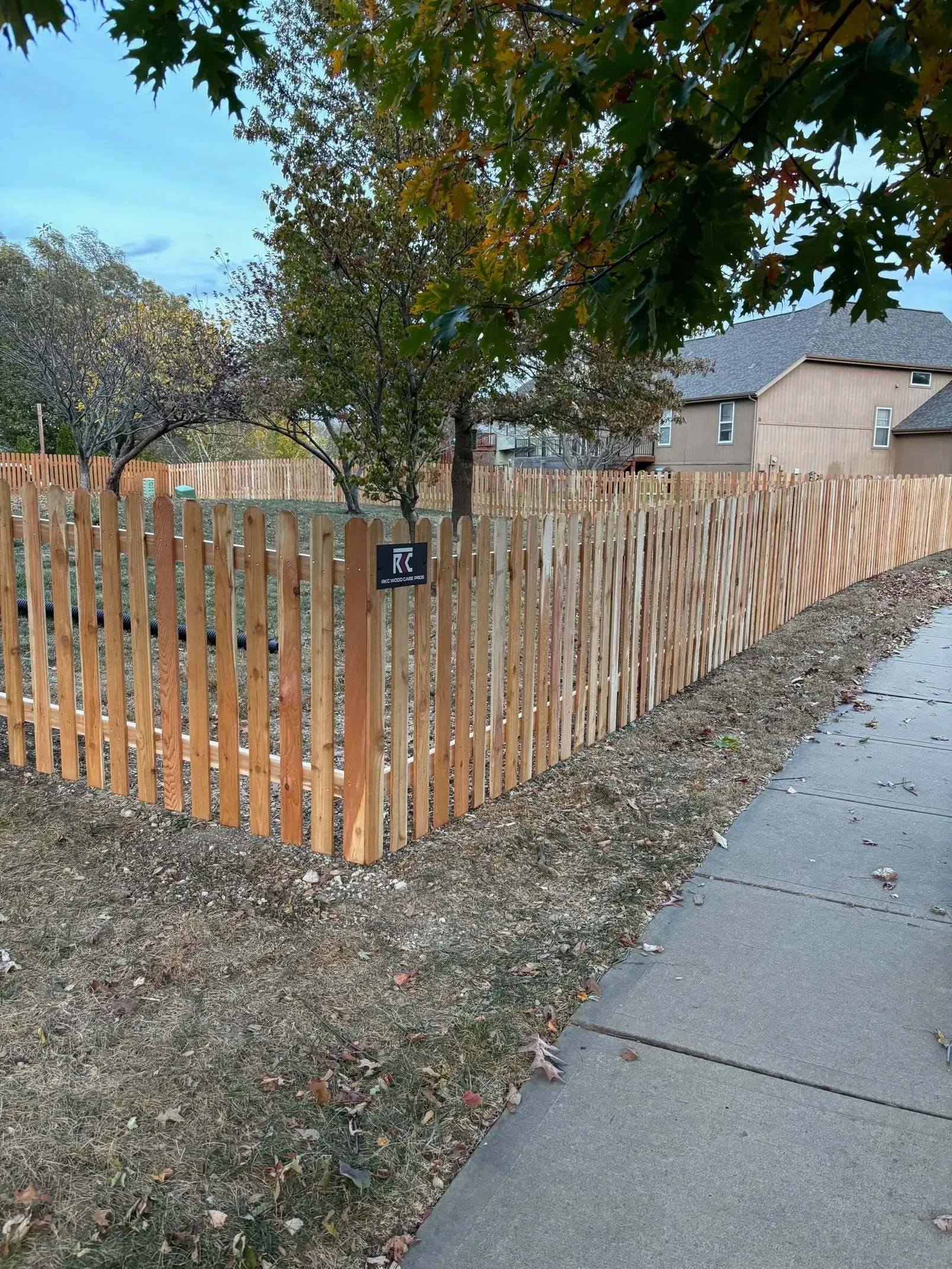 Wooden fence bordering a yard next to a sidewalk with fallen leaves. A tree is behind the fence.
