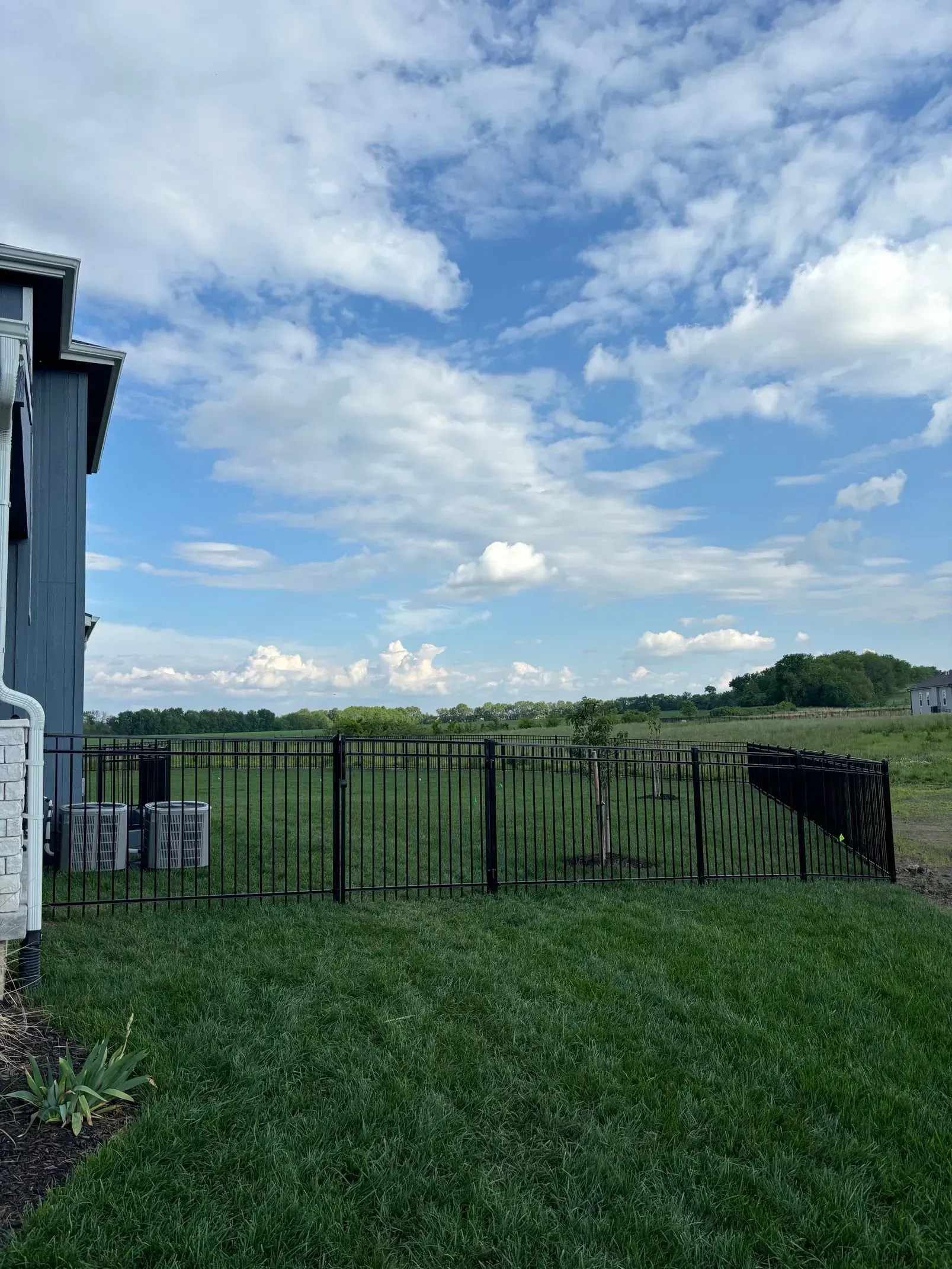 Green yard with black fence, blue sky with white clouds, side of a building on the left.