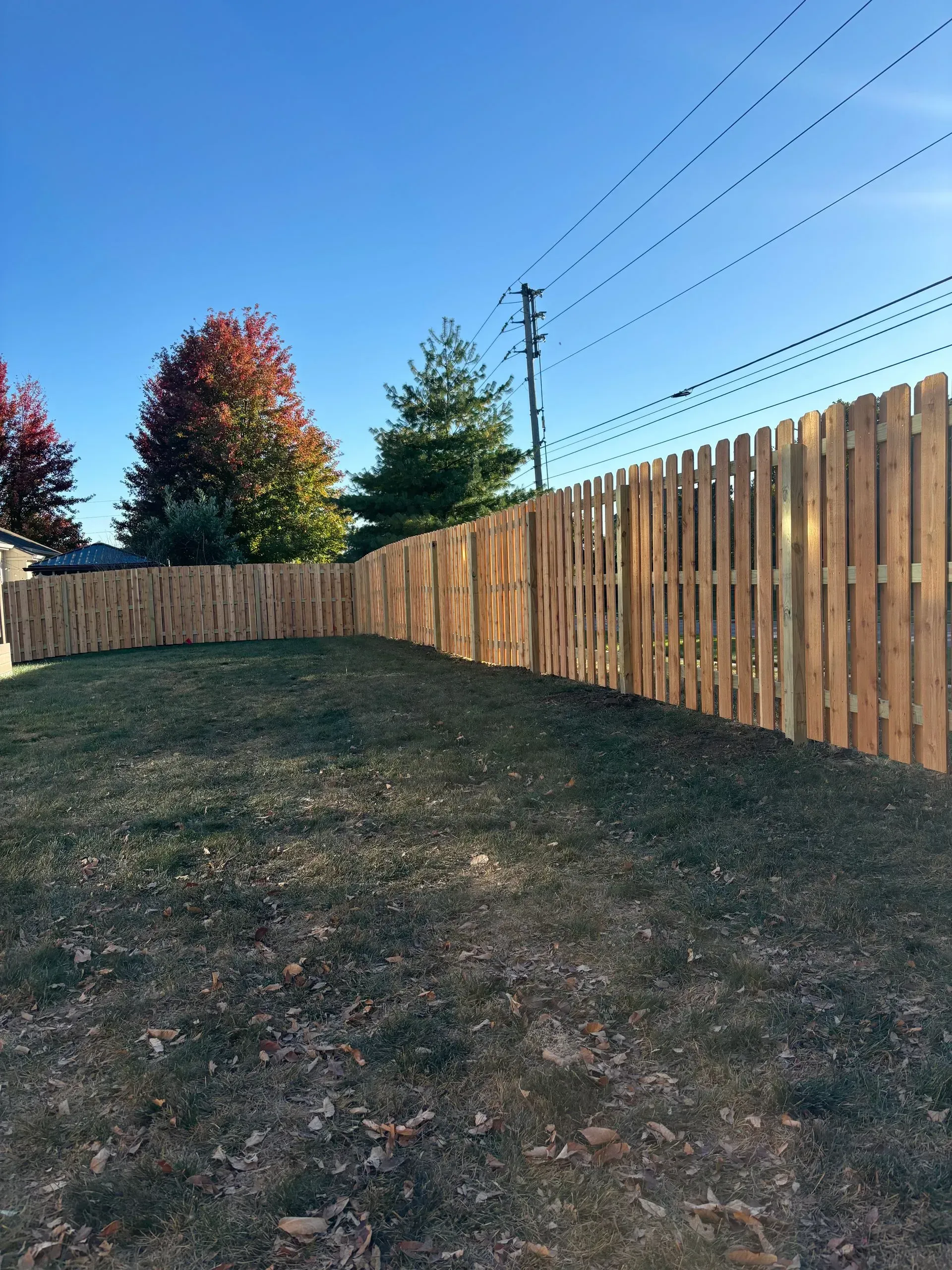 Wooden fence encloses a grassy backyard on a sunny day. Fall foliage visible in the background.