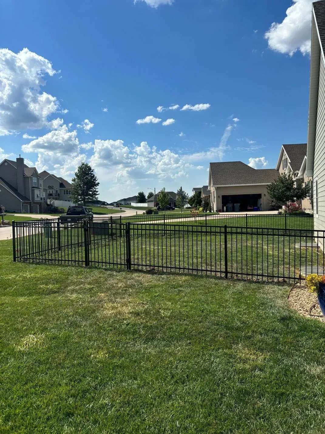 Black metal fence encloses a grassy backyard on a sunny day. Houses are visible in the background under a blue sky.