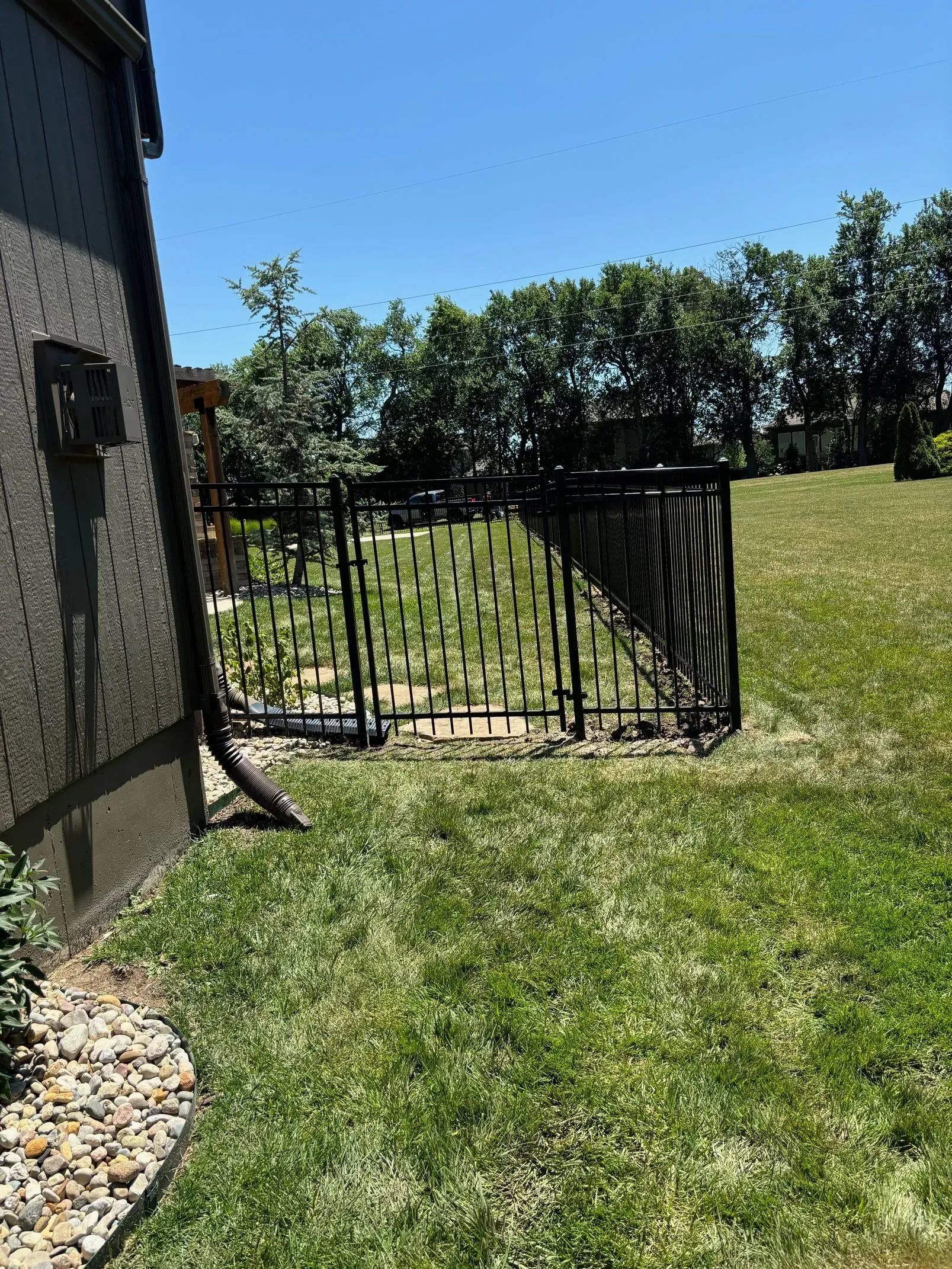 Black metal fence separating yard from house, with trees and blue sky. Green grass in the yard.