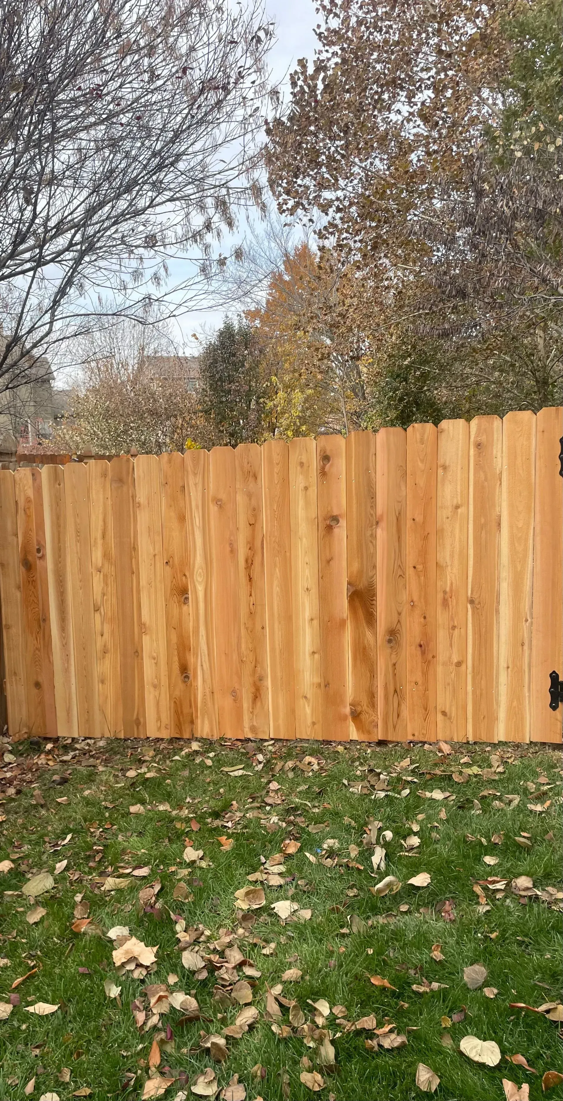 Wooden privacy fence in a grassy yard, with fall foliage in the background.