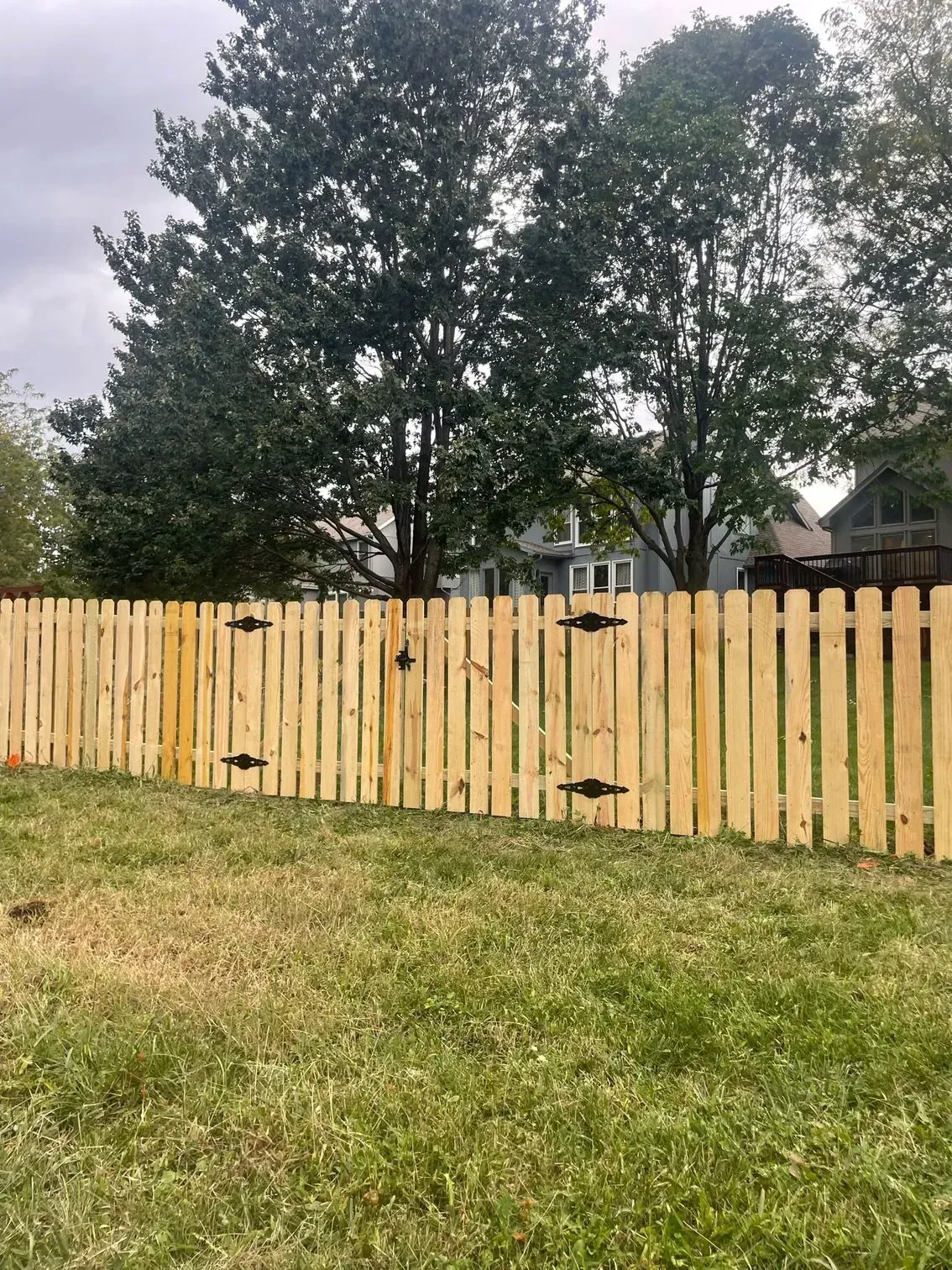 A wooden picket fence in a grassy yard, with a dark gate and trees in the background.