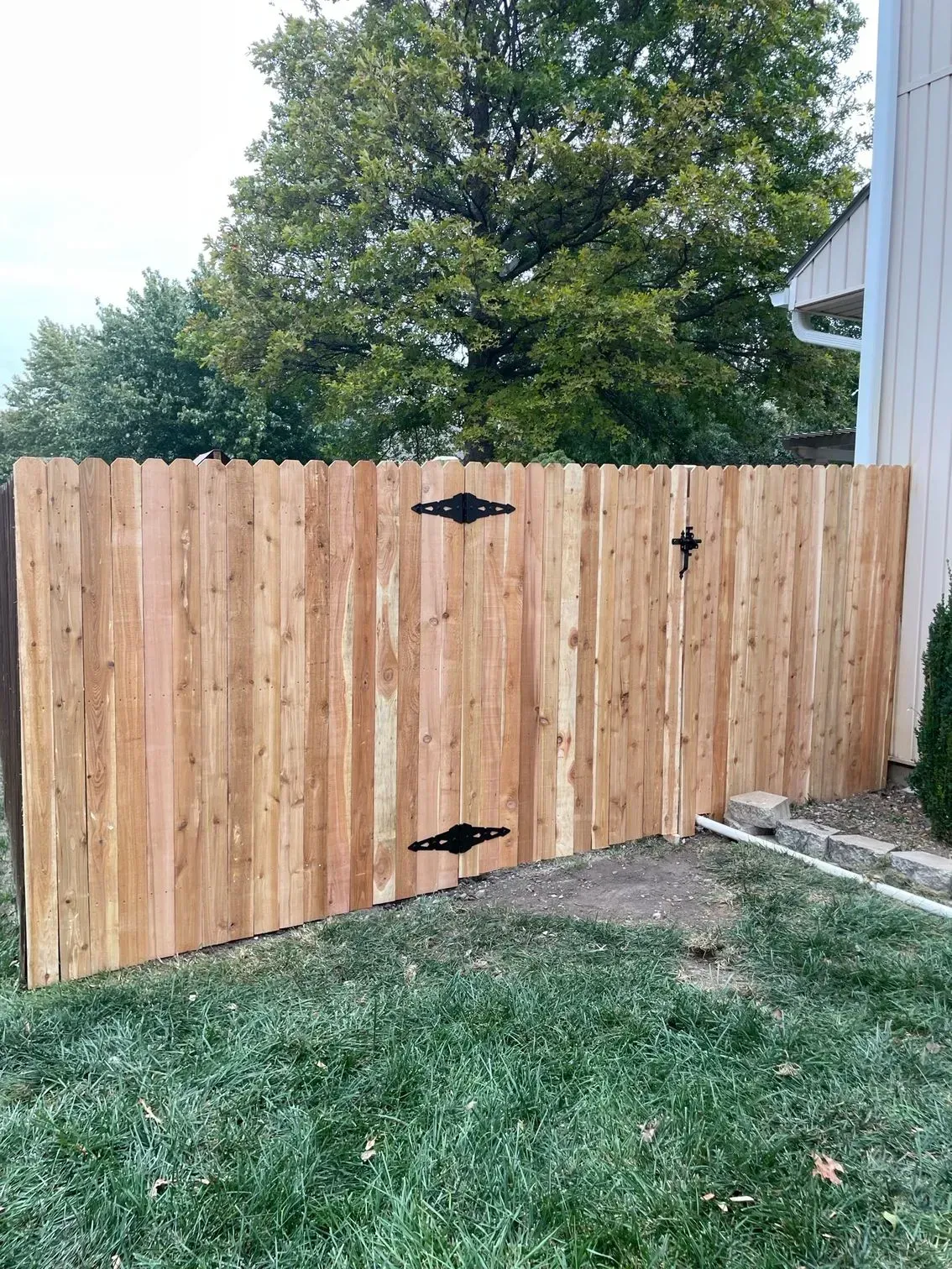 Wooden fence with gate, hinges, and latch in yard. Green grass, trees, and building in the background.