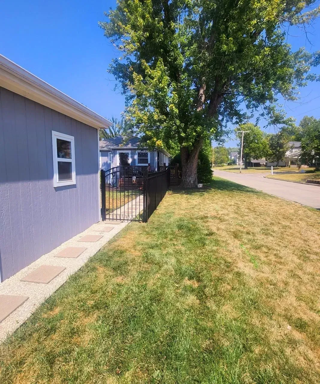Exterior view of a blue house, walkway, and a black fence. A large tree shades the yard on a sunny day.