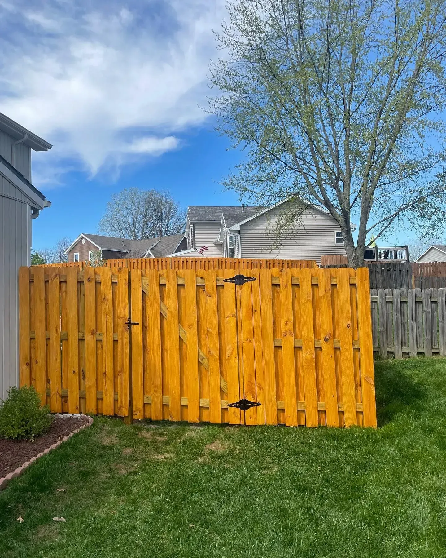 Wooden fence in a backyard with a gate, stained gold color. Blue sky, green grass, and houses in the background.