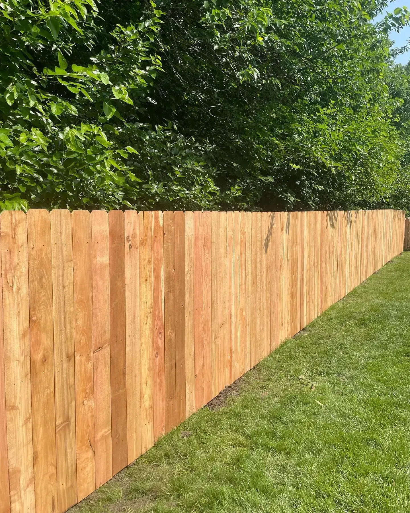 Wooden fence along a green lawn with trees in the background.