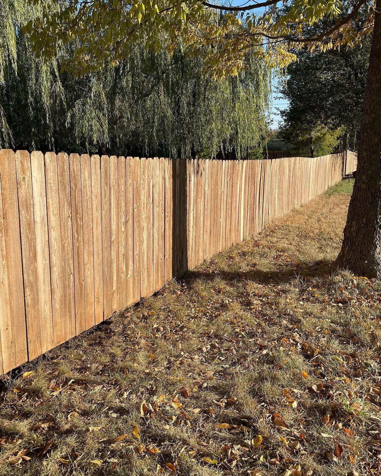 Wooden fence in yard with fallen leaves.
