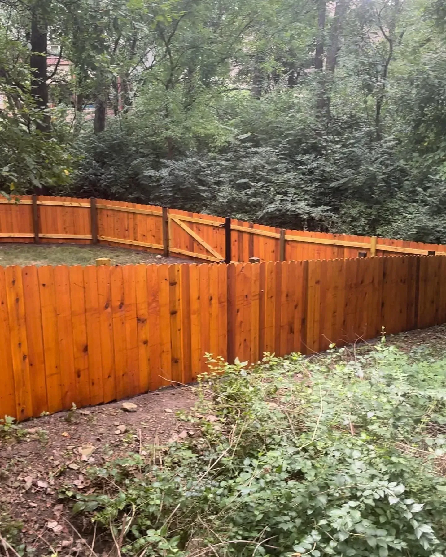 Wooden fence stained orange, enclosing a backyard with green grass and trees.