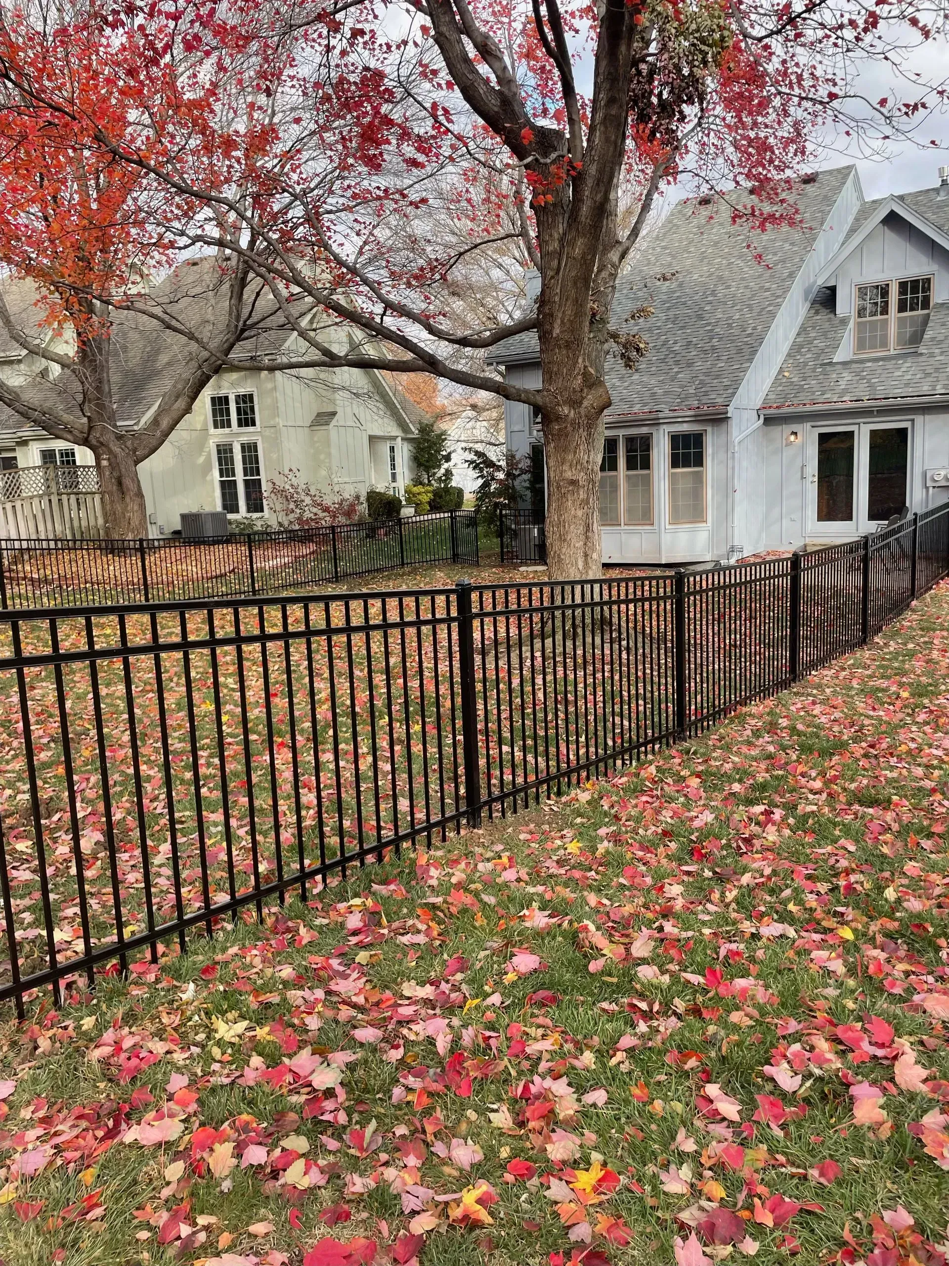 Black wrought iron fence in front of houses; red autumn leaves cover the lawn.
