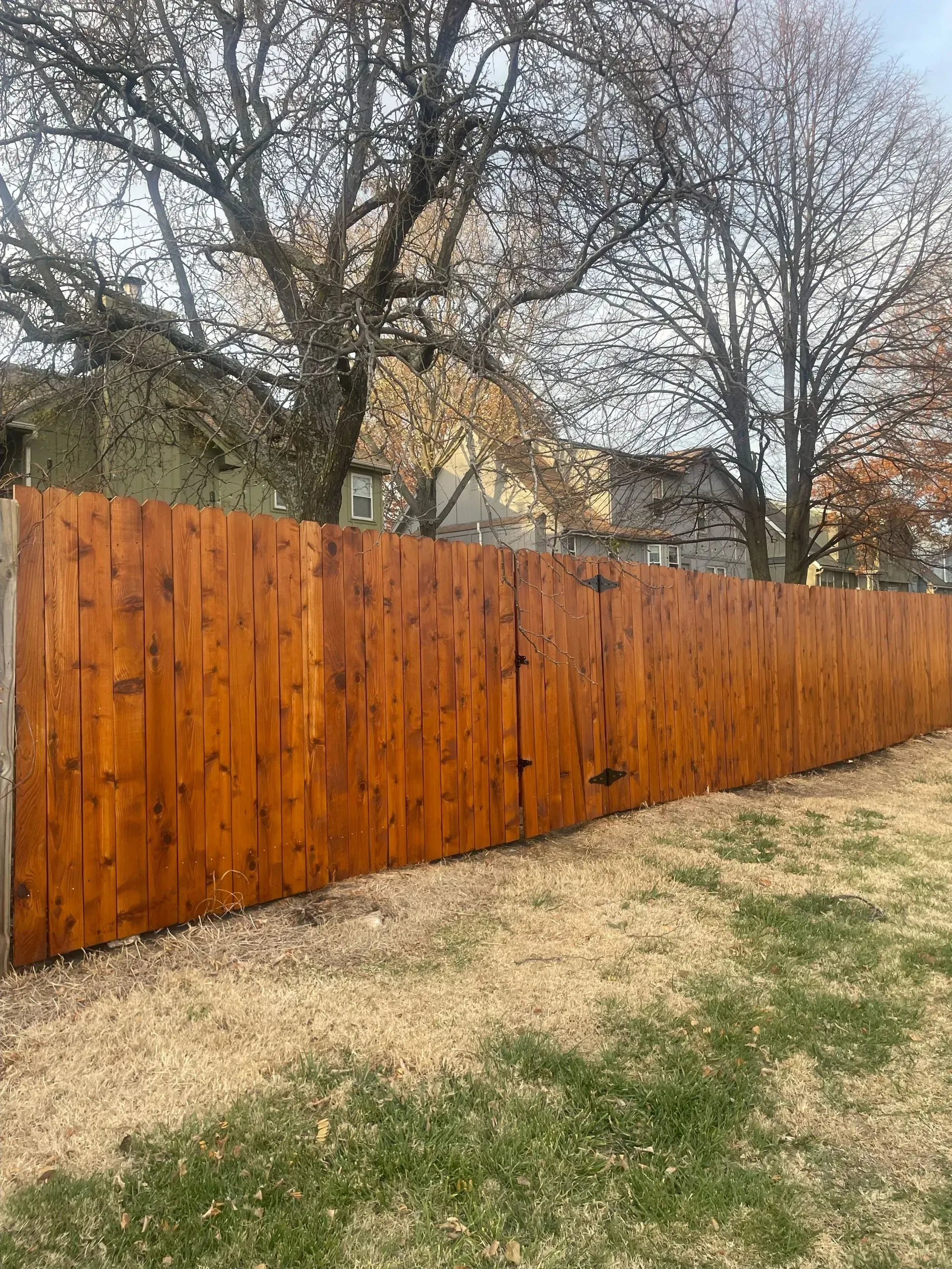Wooden fence, stained brown, in a grassy yard. Trees in the background, overcast sky.