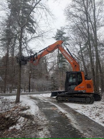 An orange excavator trimming a bare tree on a snow-covered path.