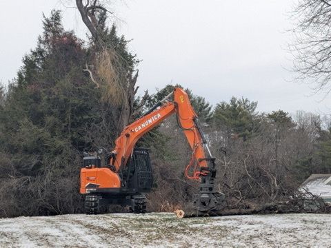 Orange excavator removing overgrown bushes in a snowy yard.