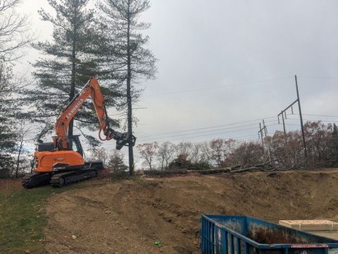 Orange excavator cutting tree on a dirt pile, with power lines and cloudy sky in background.