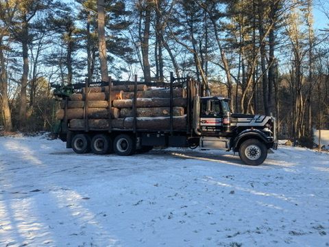 A logging truck loaded with logs parked in a snowy forest.