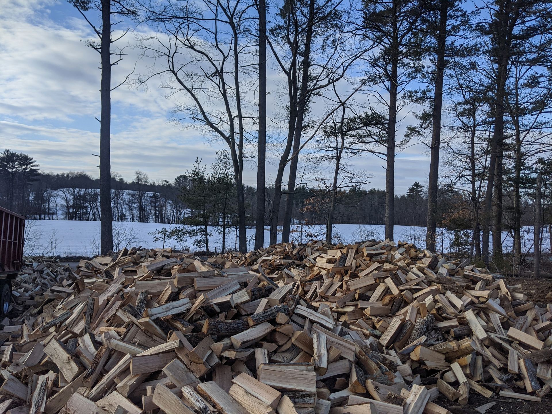 Pile of split firewood in front of a snowy landscape and tall trees. Overcast sky.