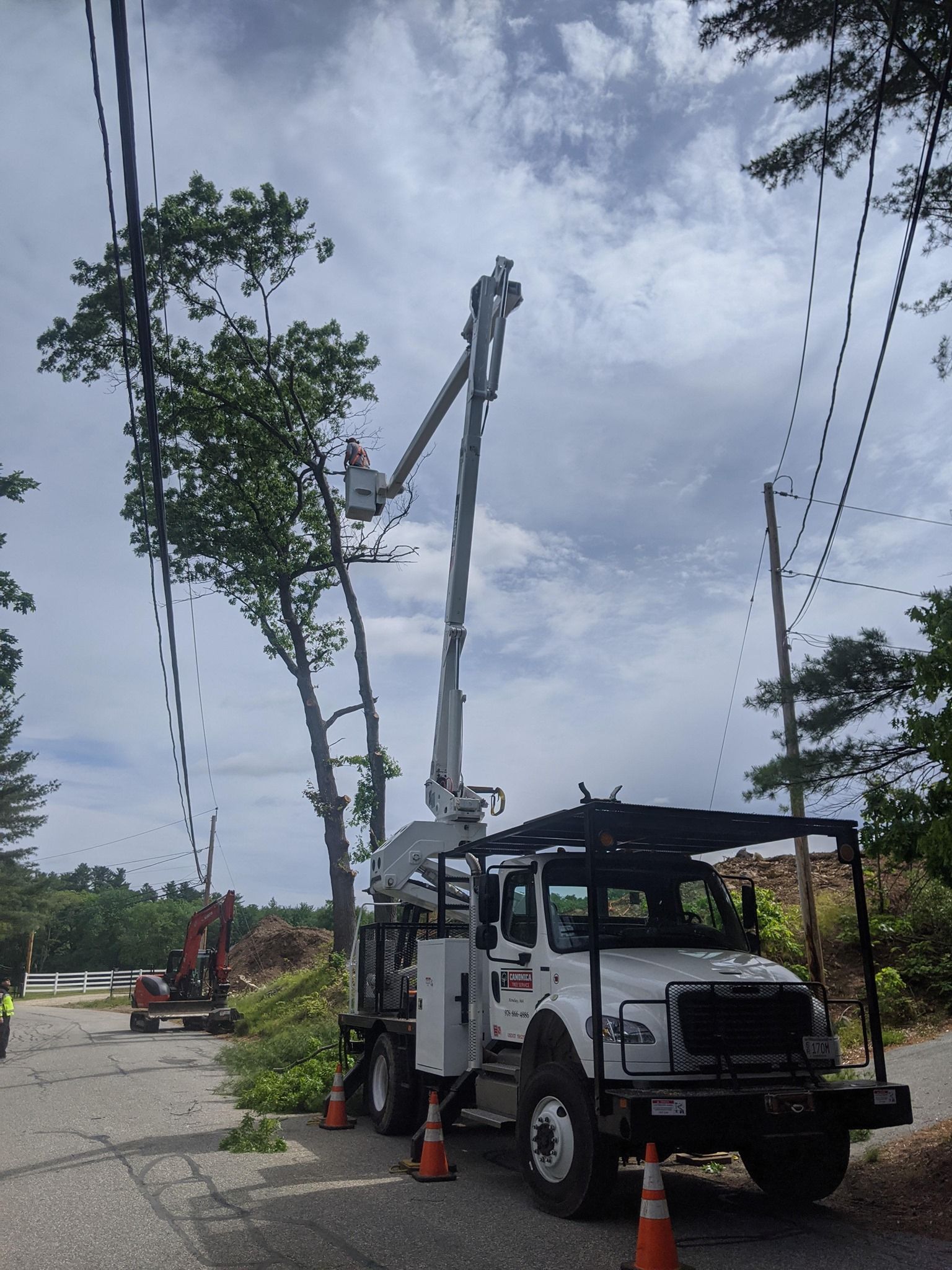 A utility truck with a lift arm trimming a tree near power lines on a road under a cloudy sky.