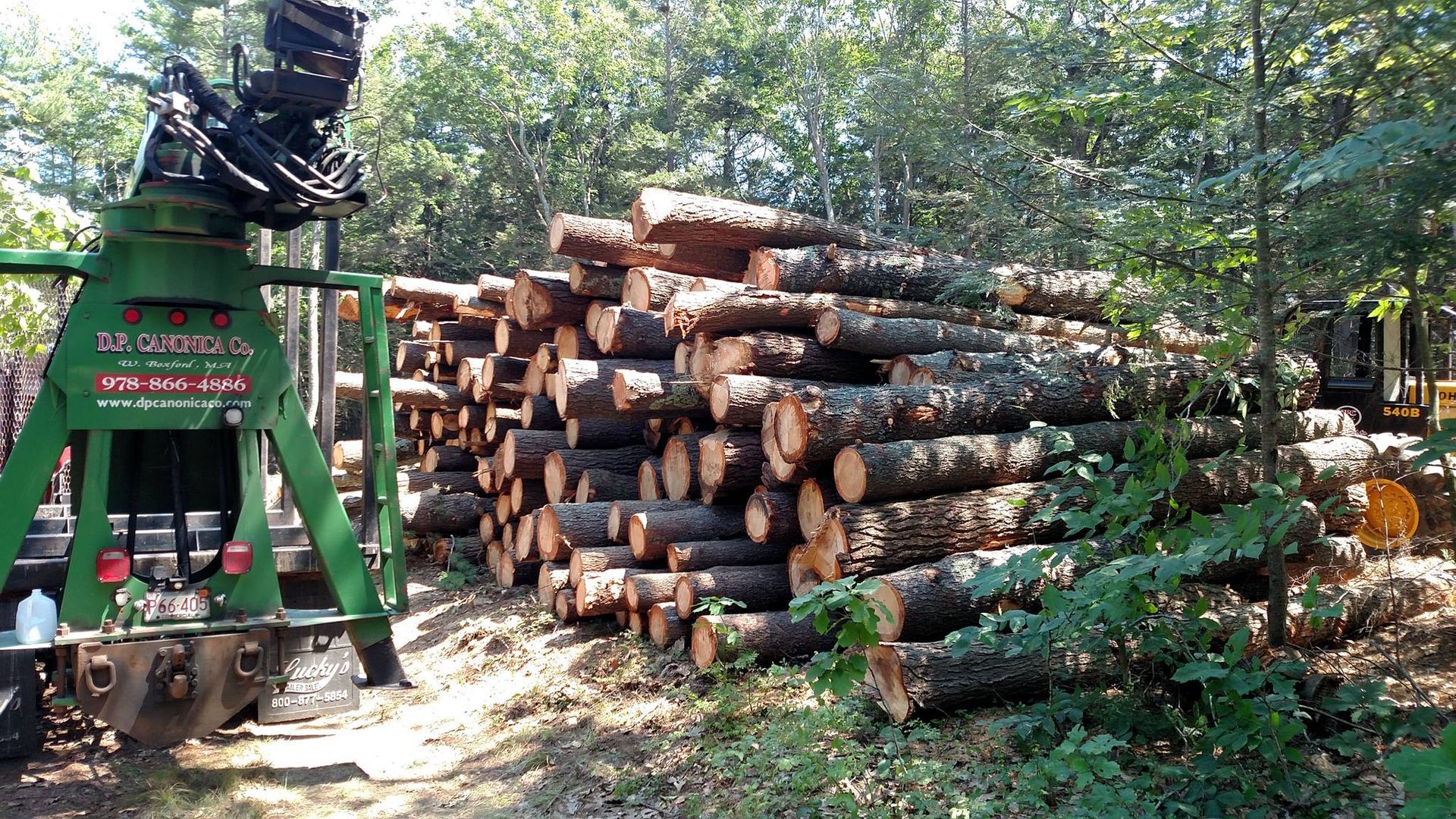 Green logging machine next to a pile of brown logs in a forest.